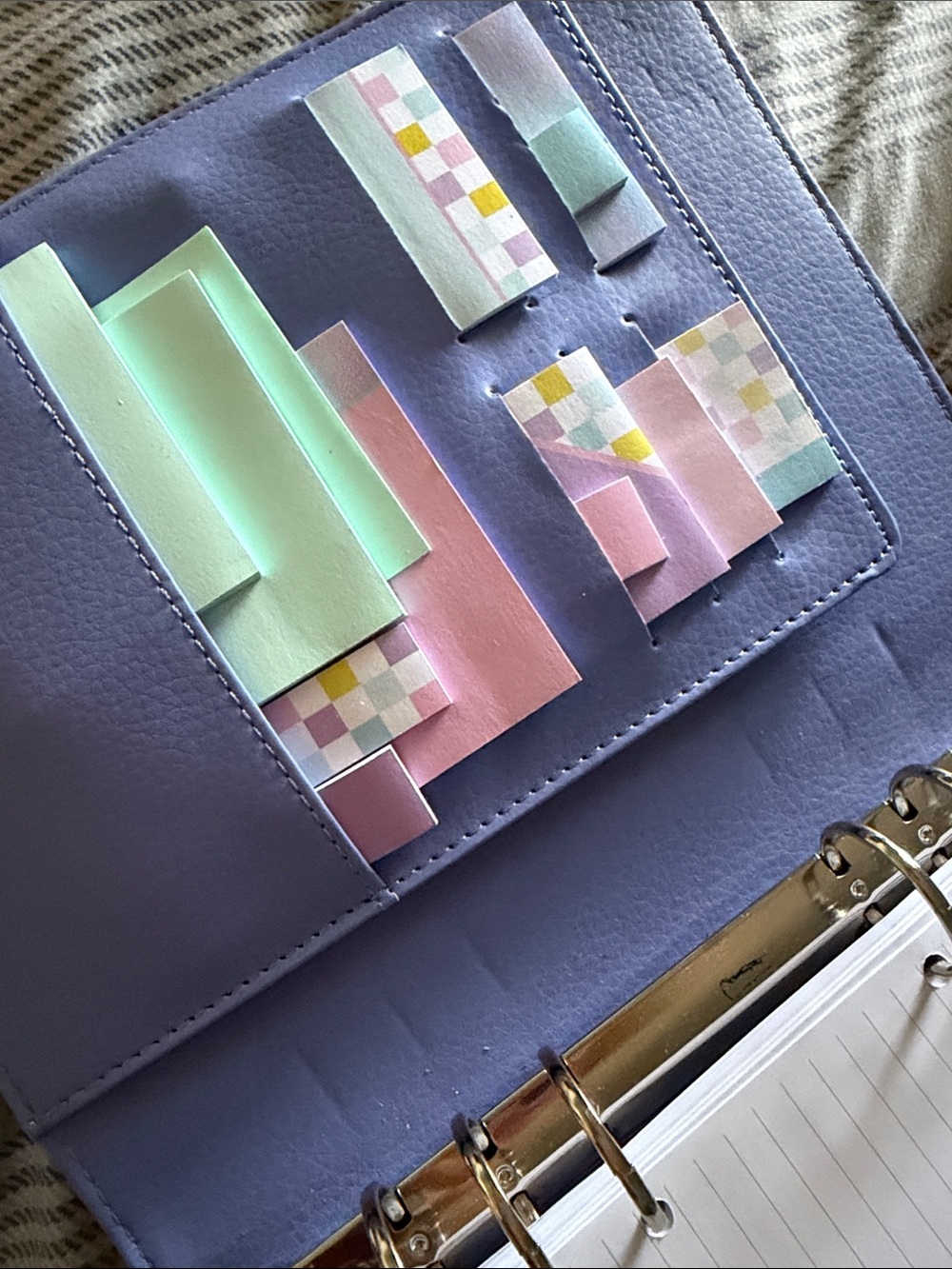 Iridescent Snake-Embossed Planner - Picture 10 of 10